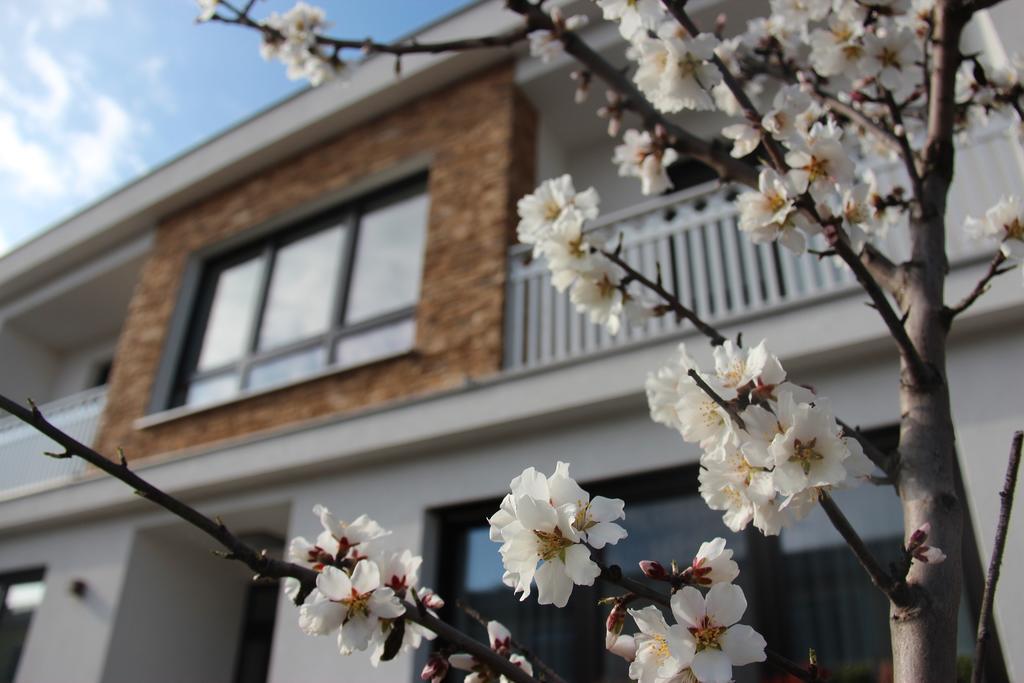 蕾妮住宿加早餐旅馆 滨湖波德斯多夫 外观 照片
